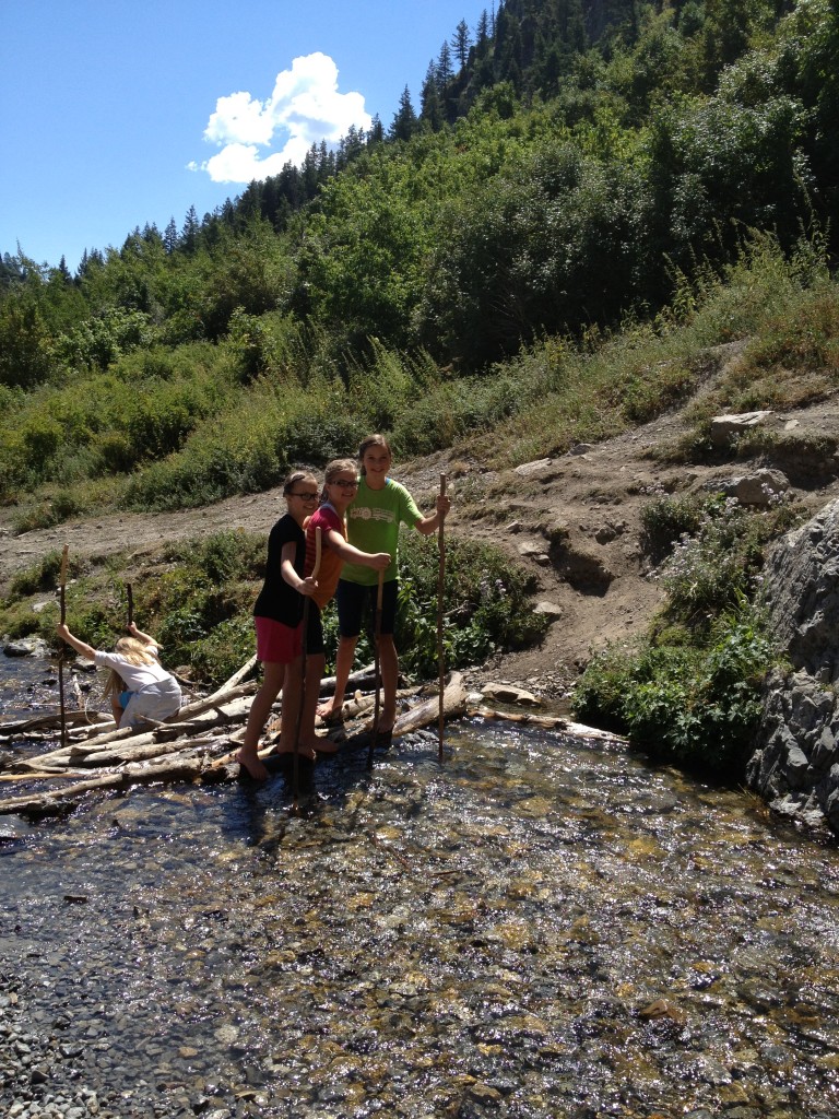 hiking sticks