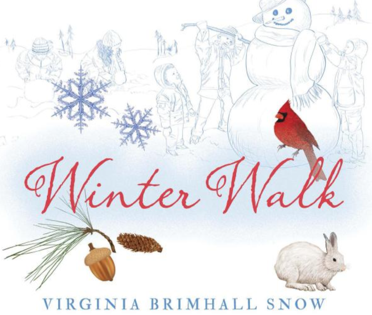 Winter Walk