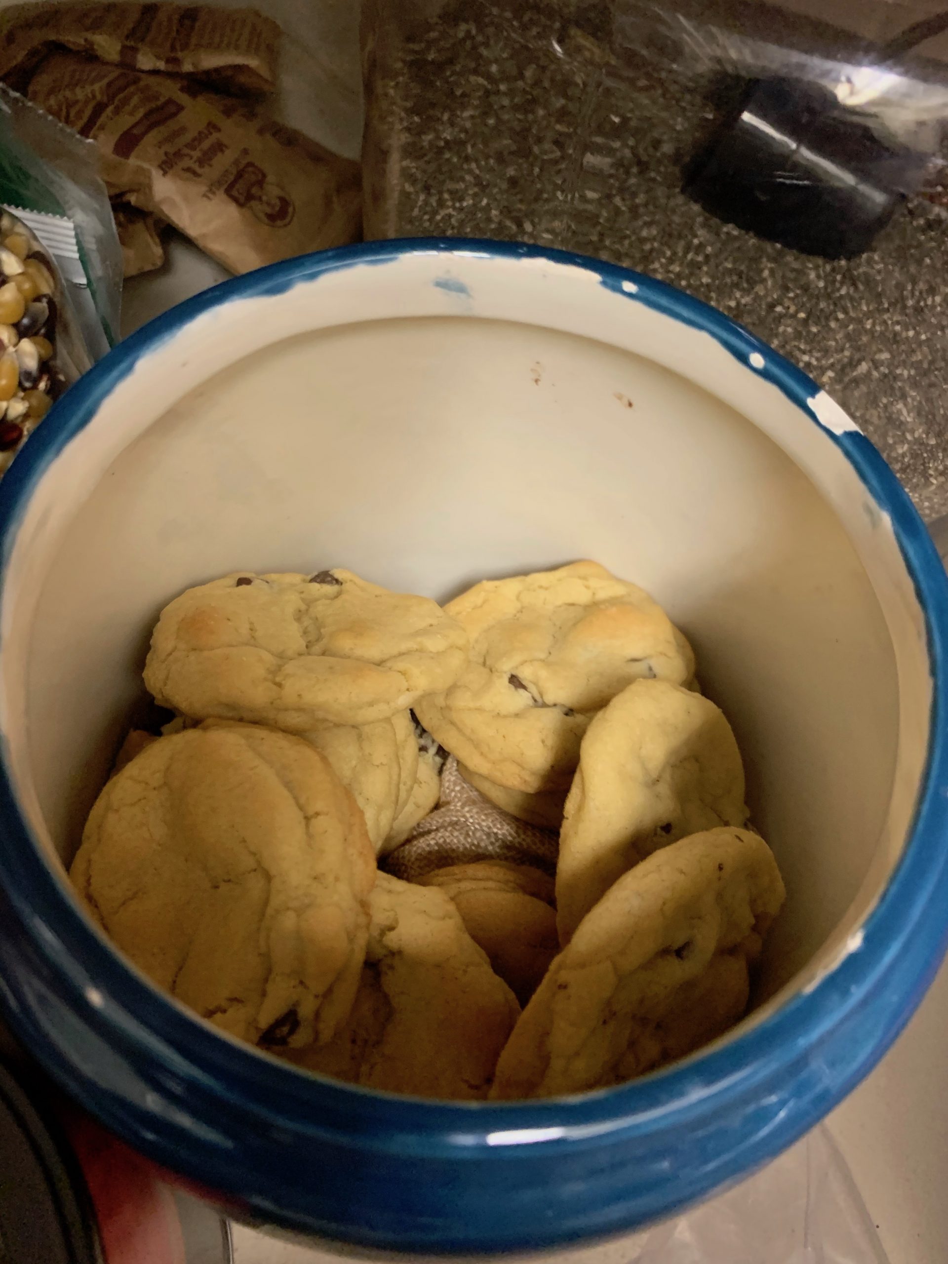 Chocolate Chip Cookie surprise