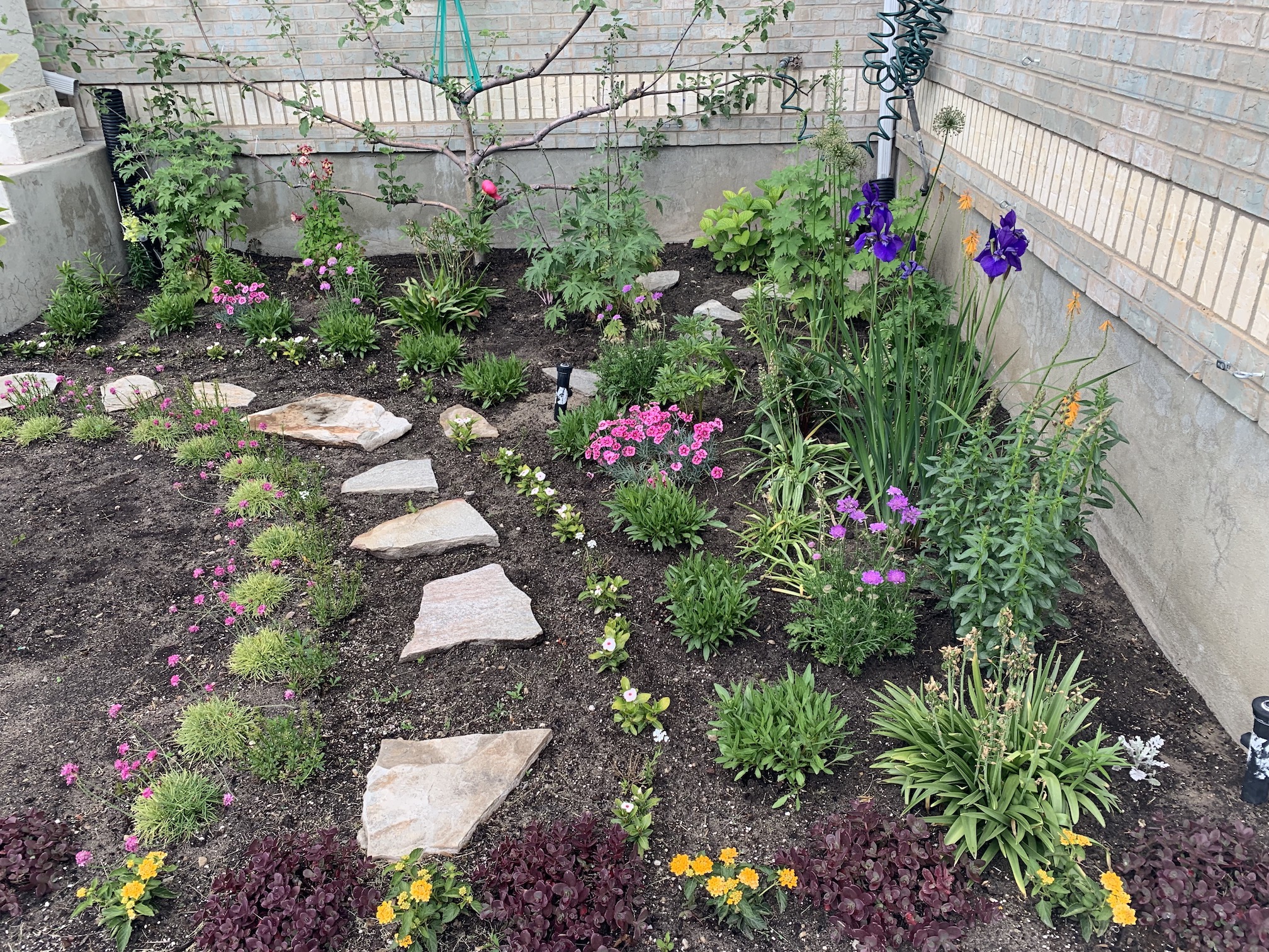 2019 Flower Garden